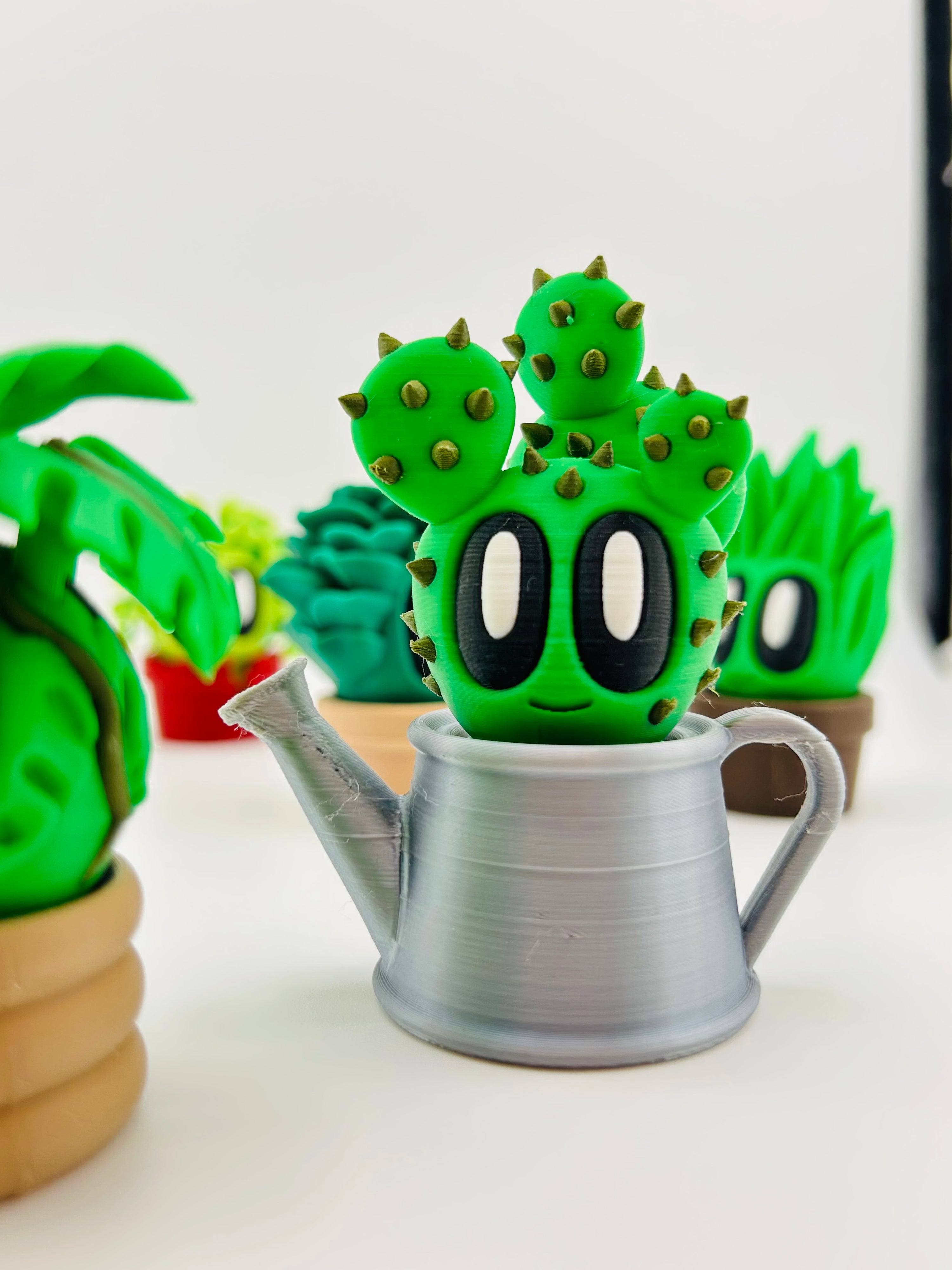 Cactus Fidget Toy