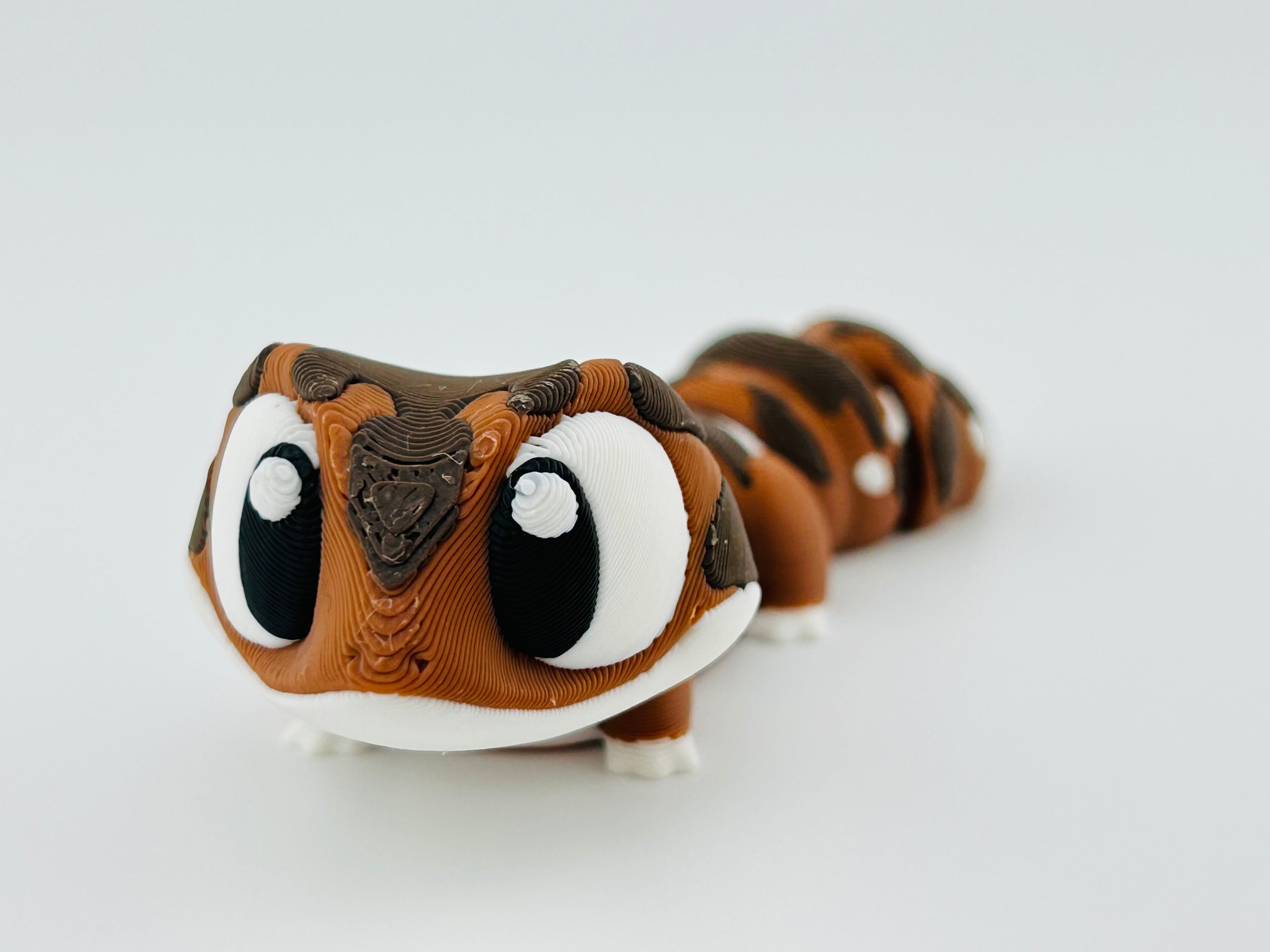 Gecko