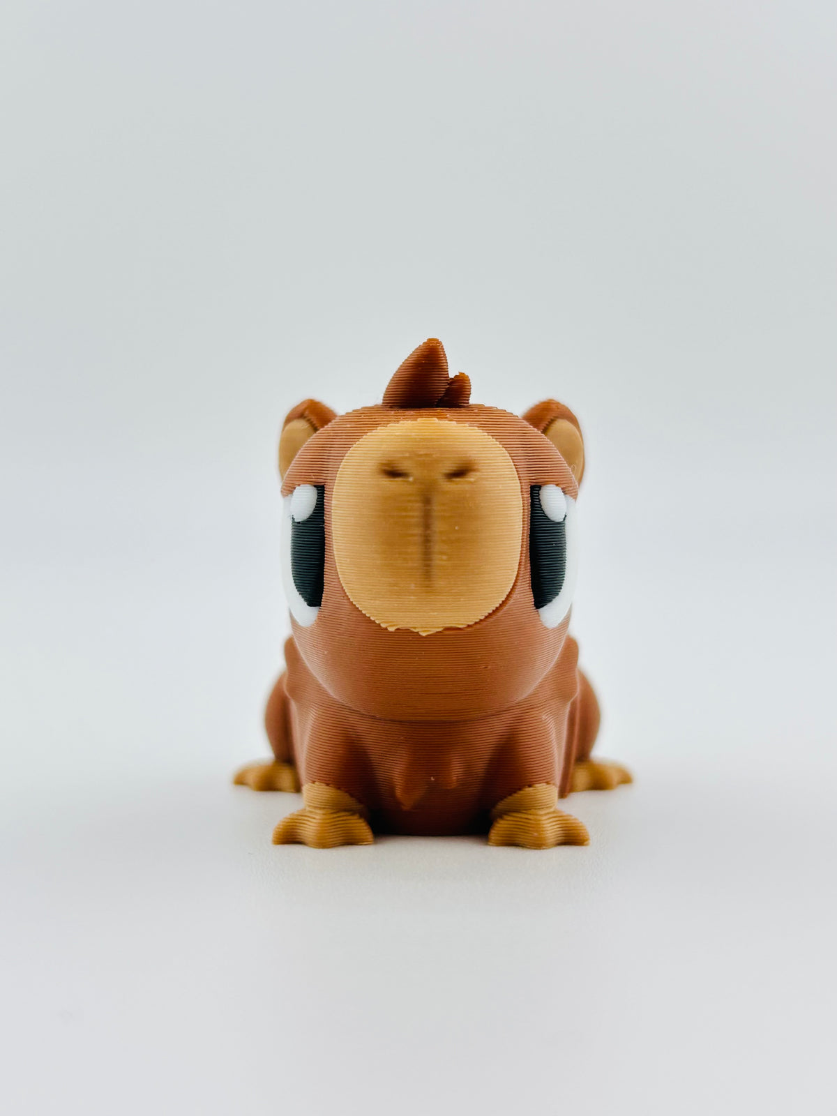 Capybara Fidget Toy