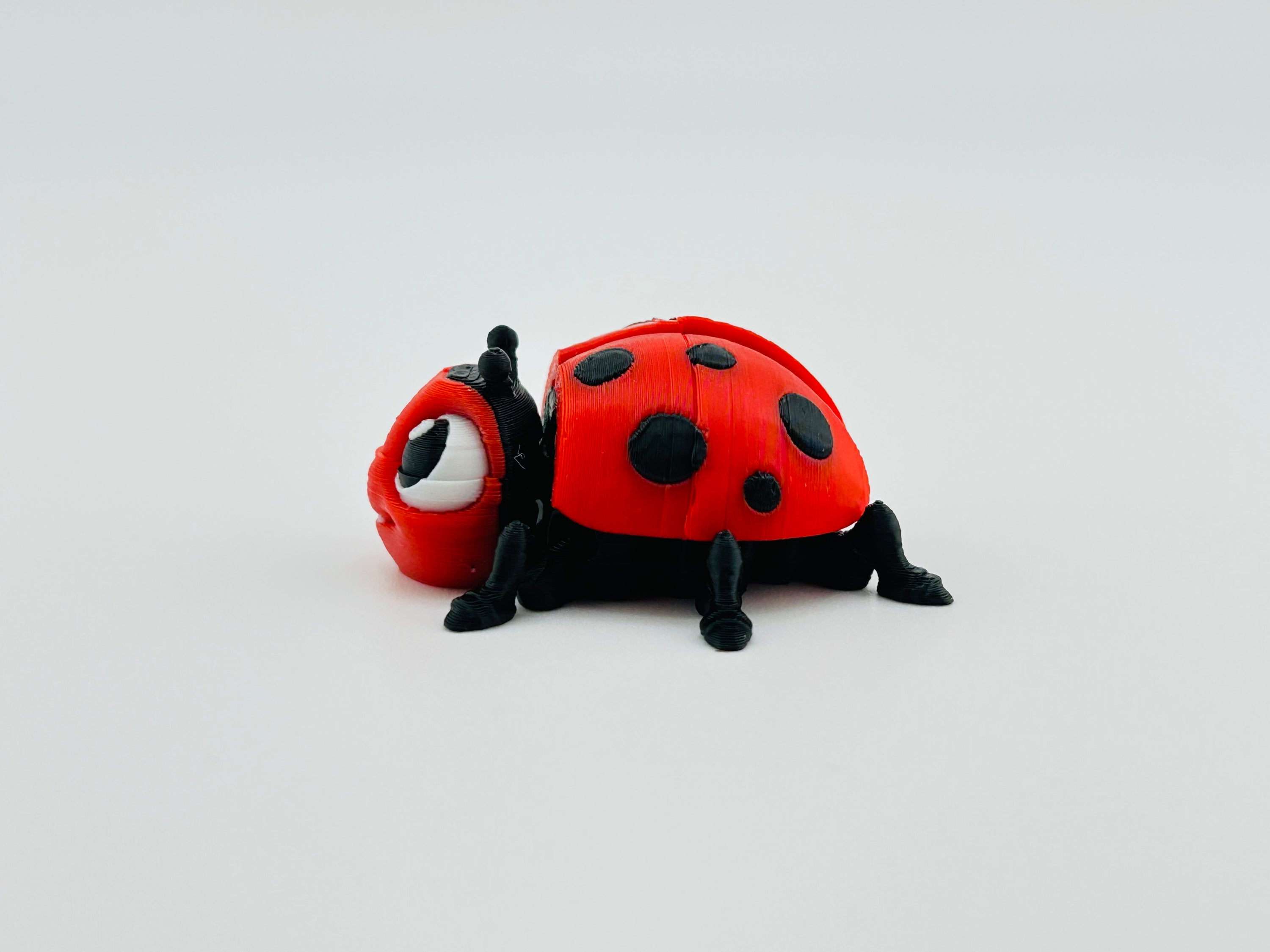 Ladybug Red Fidget Toy