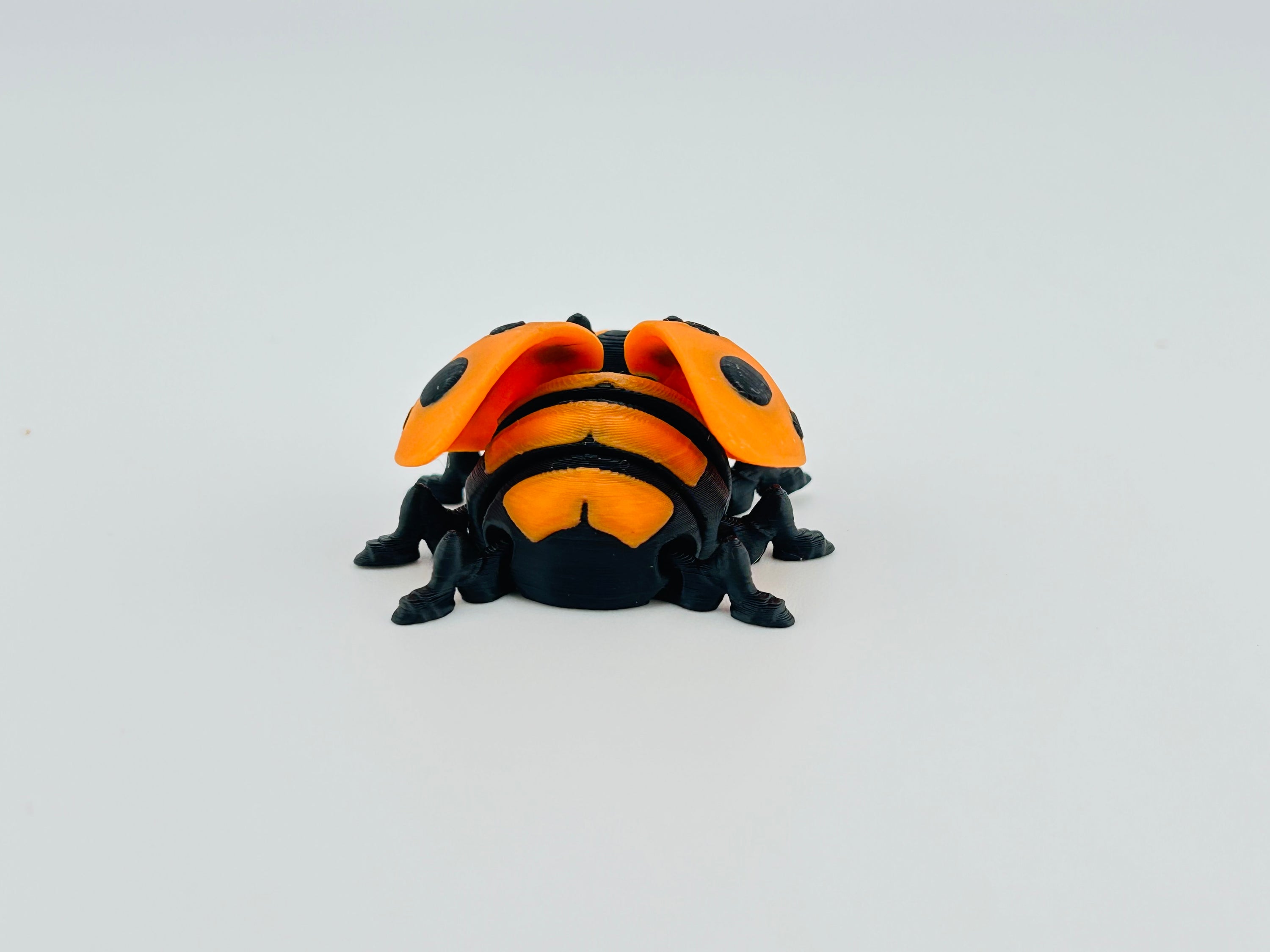 Ladybug Orange Fidget Toy