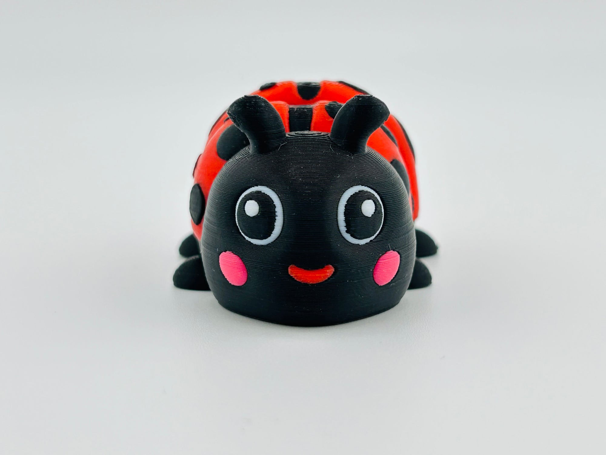 Ladybird Large Fidget Toy