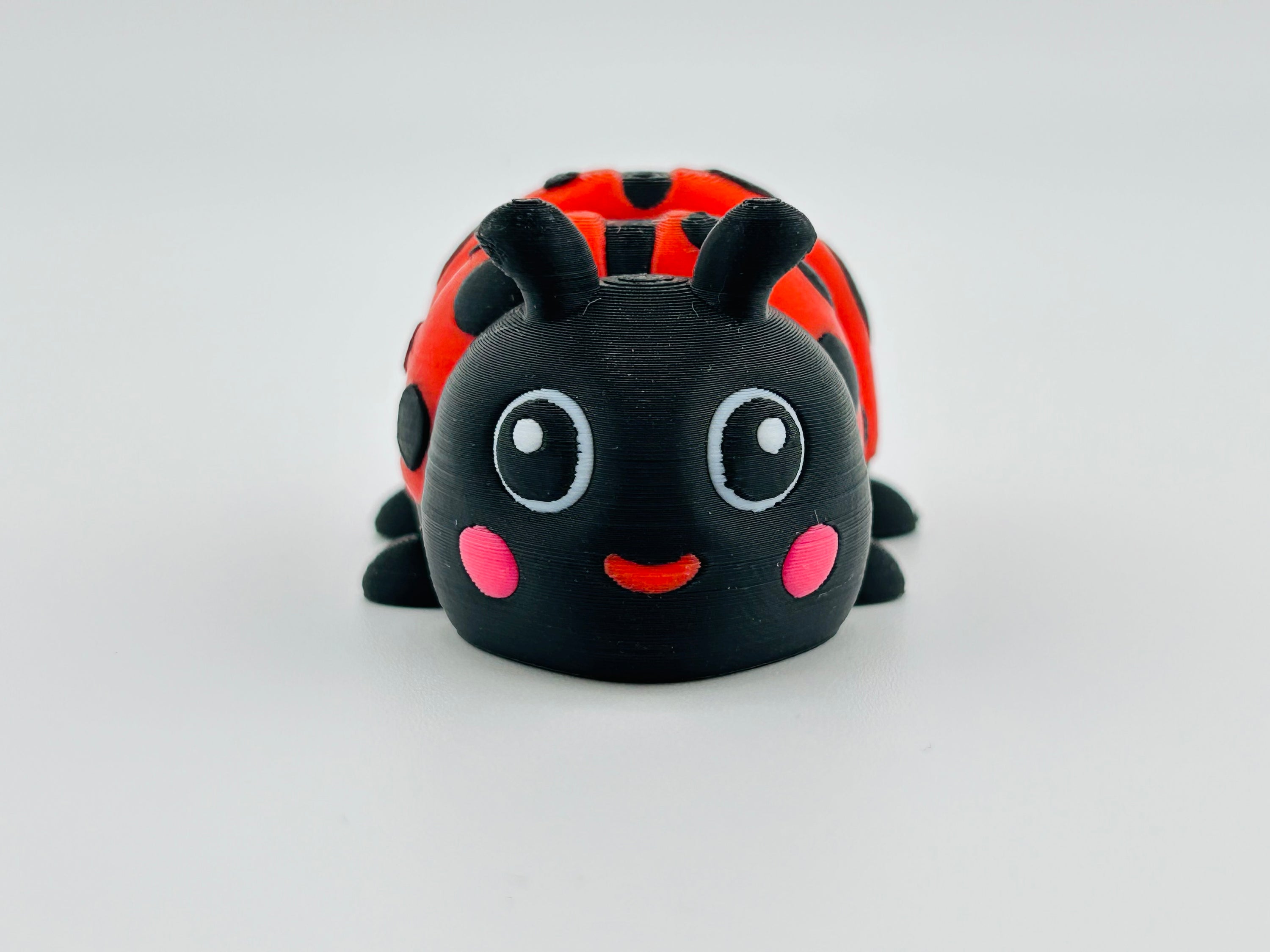 Ladybird Large Fidget Toy