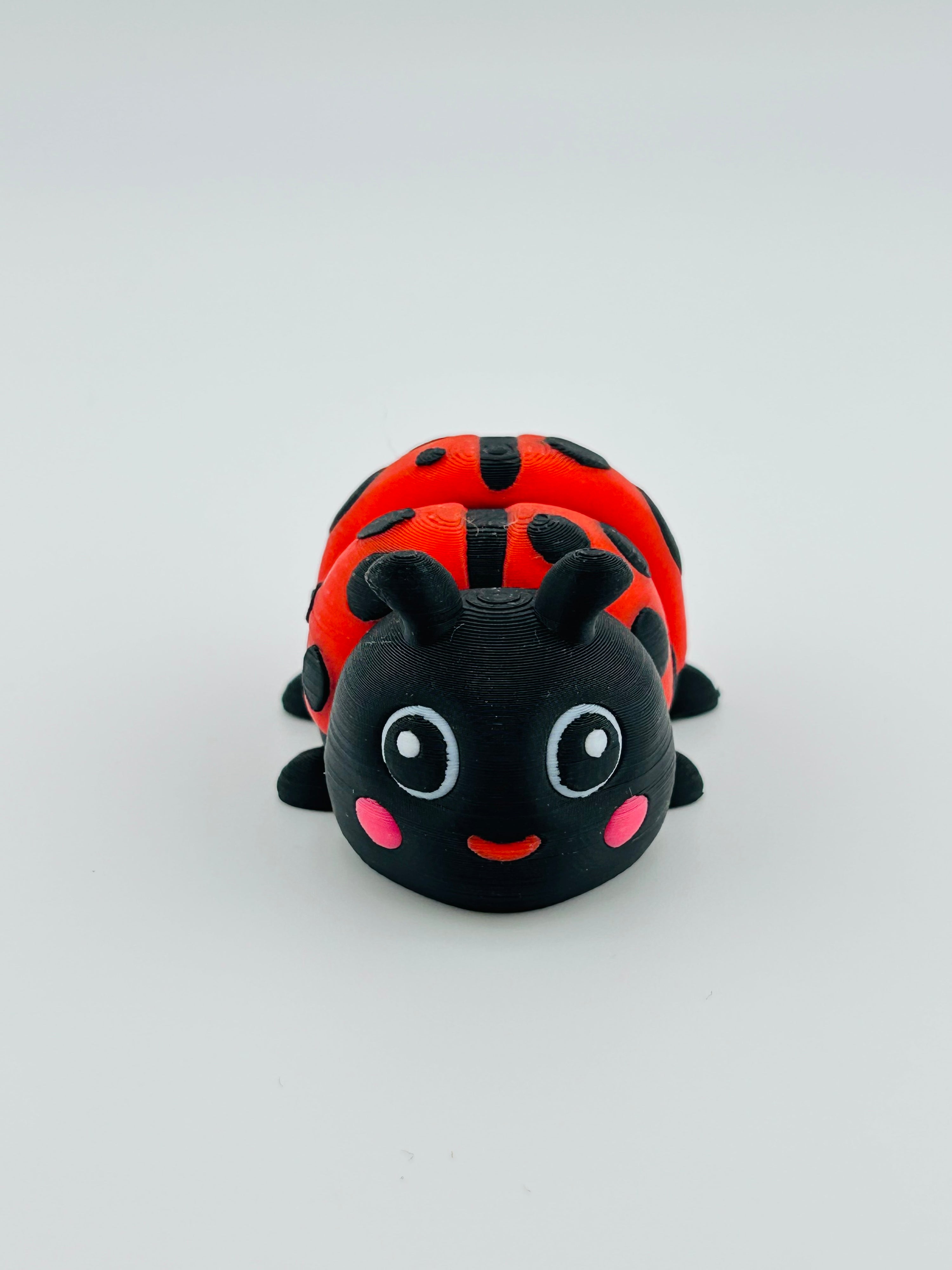 Ladybird Large Fidget Toy