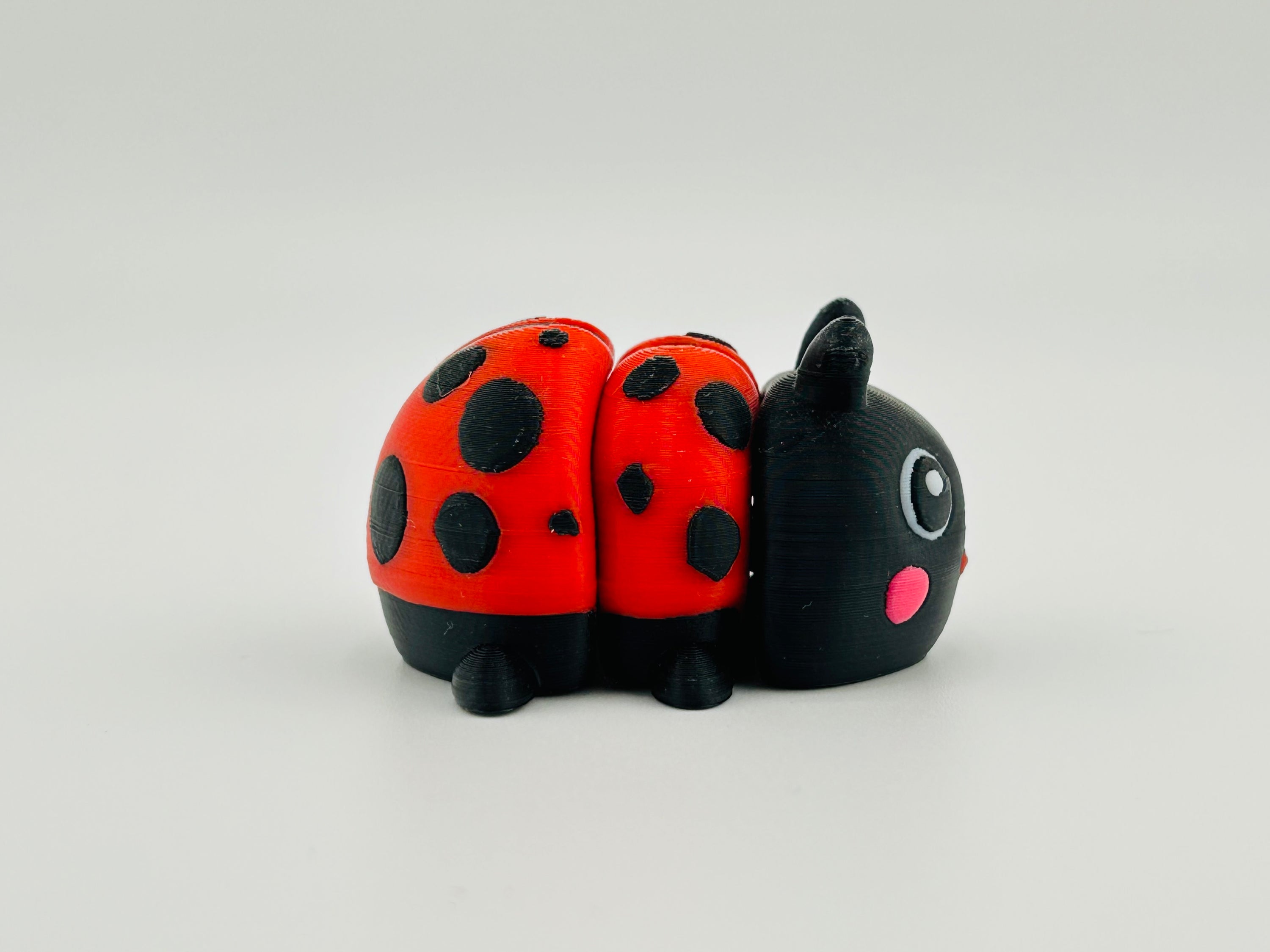 Mini Ladybirds Fidget Toy