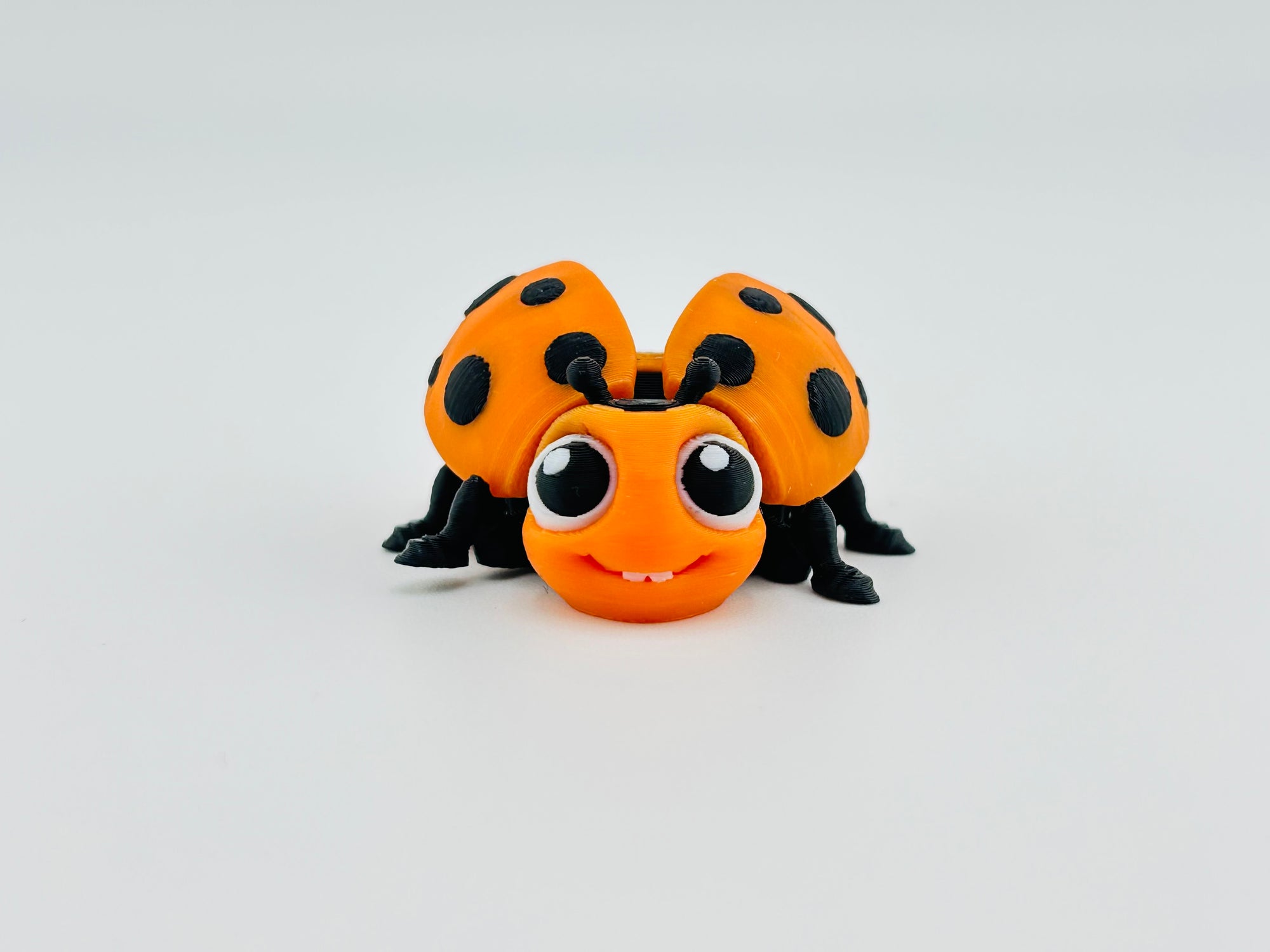 Ladybug Orange Fidget Toy