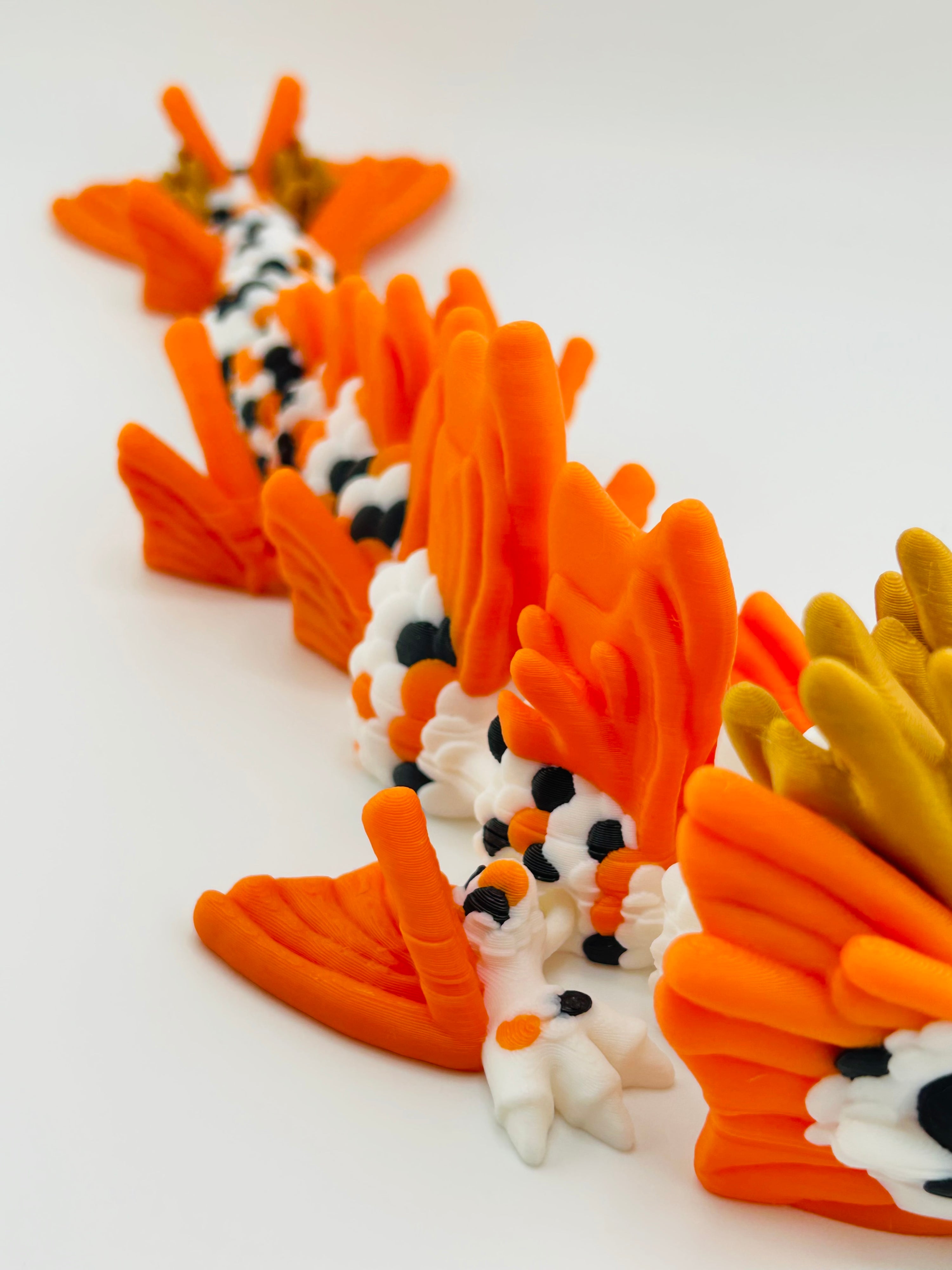 Koi Dragon Orange