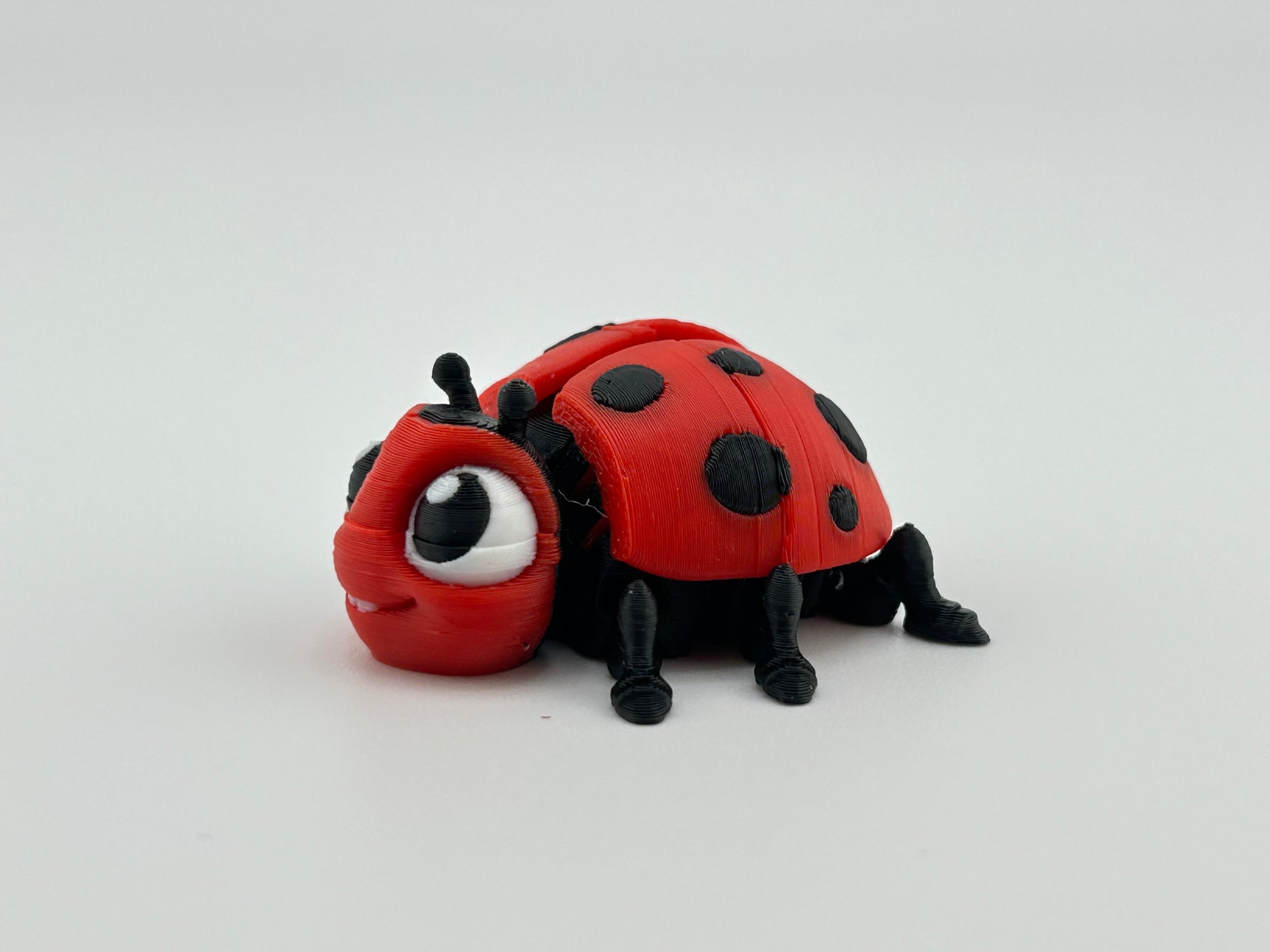 Ladybug Red Fidget Toy