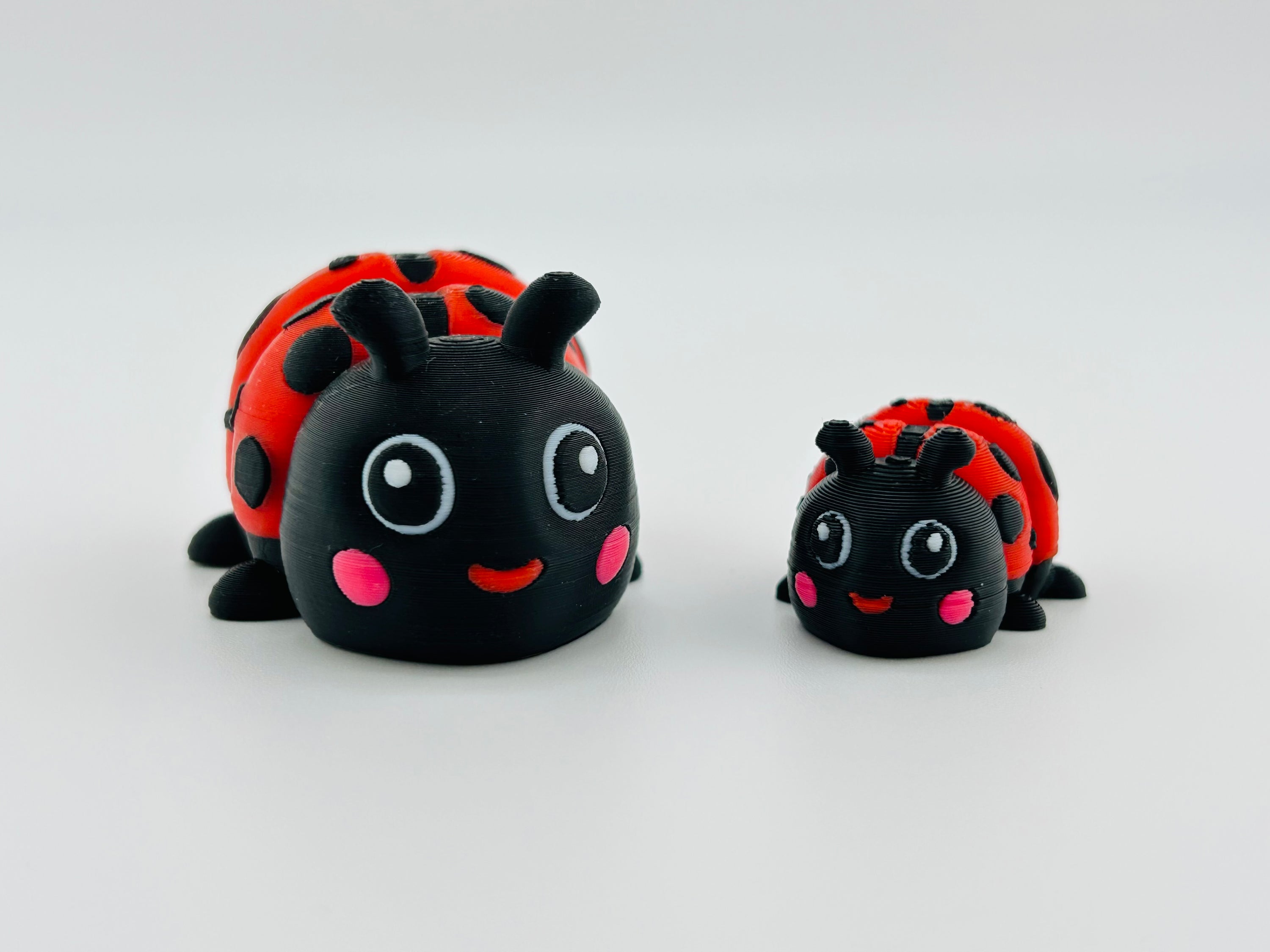 Ladybird Large Fidget Toy