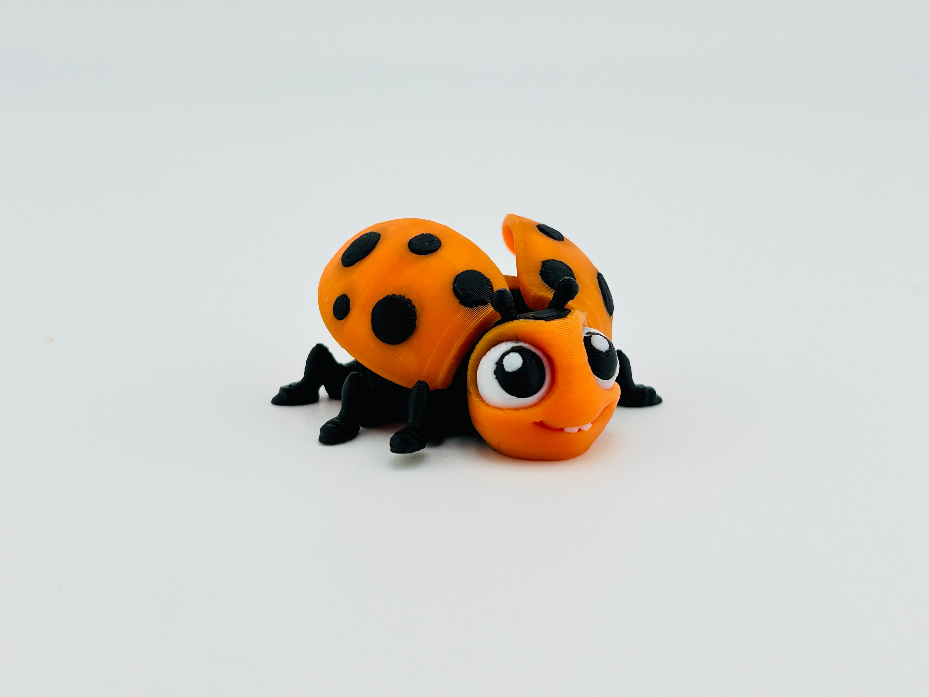 Ladybug Orange Fidget Toy