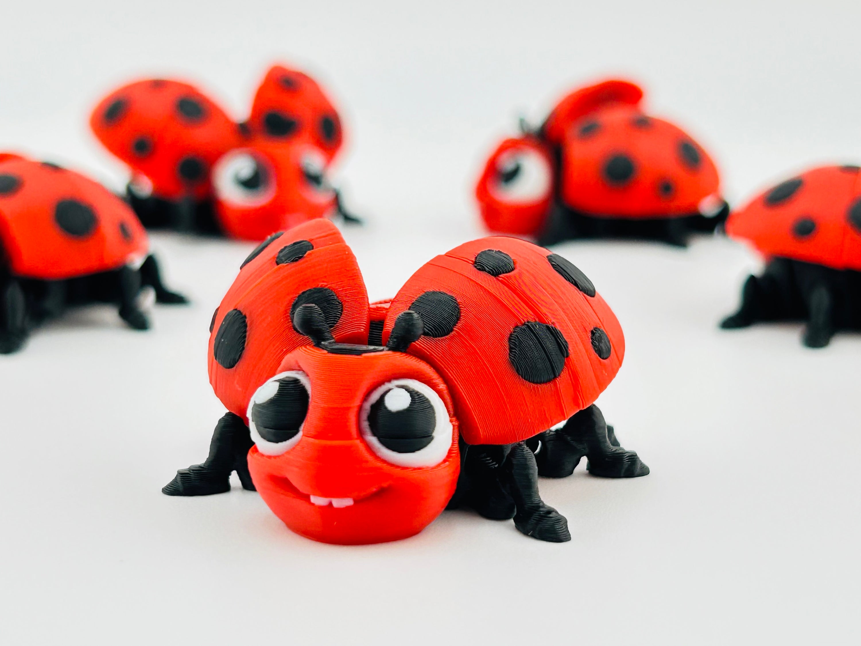 Ladybug Red Fidget Toy