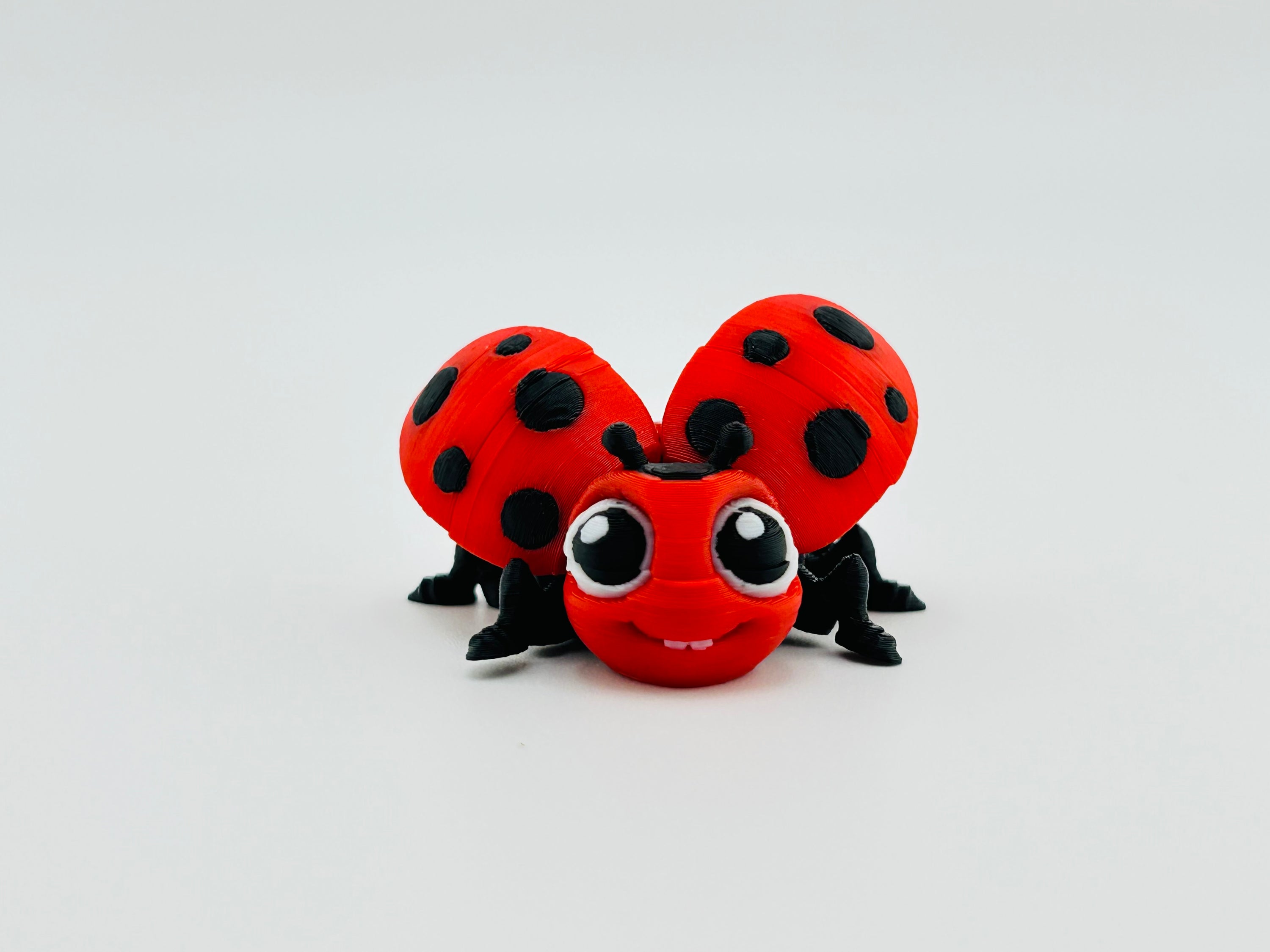 Ladybug Red Fidget Toy