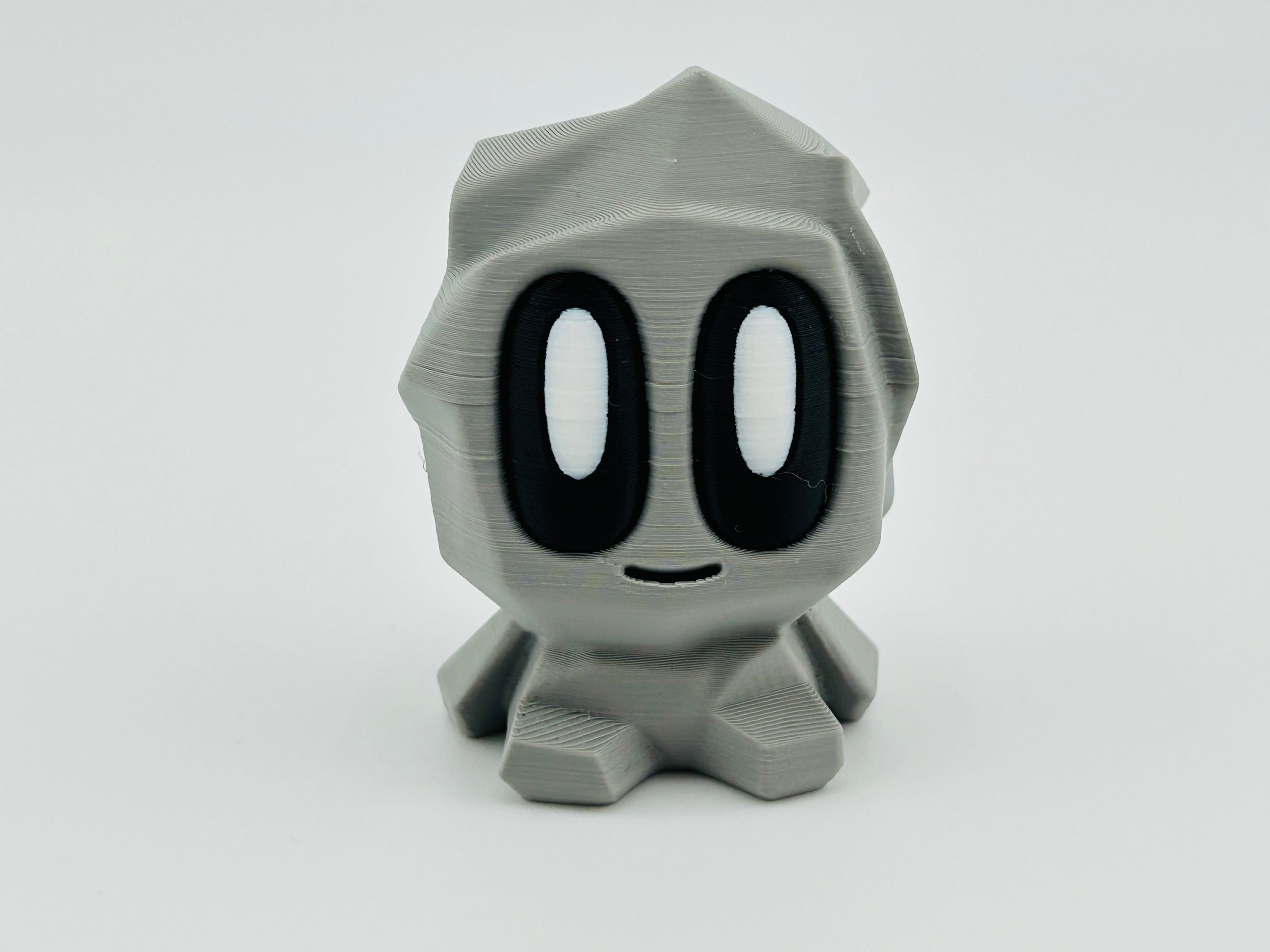 Pet Rock Fidget Toy