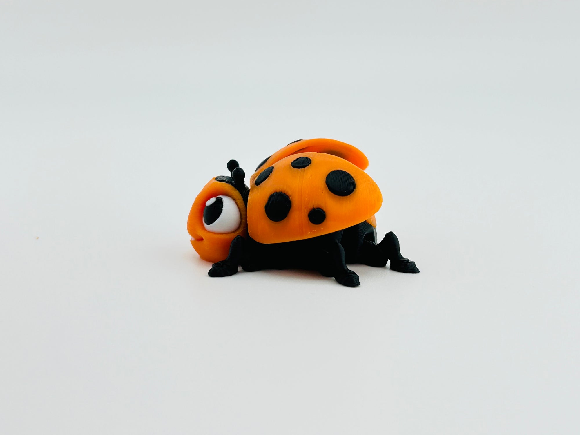 Ladybug Orange Fidget Toy