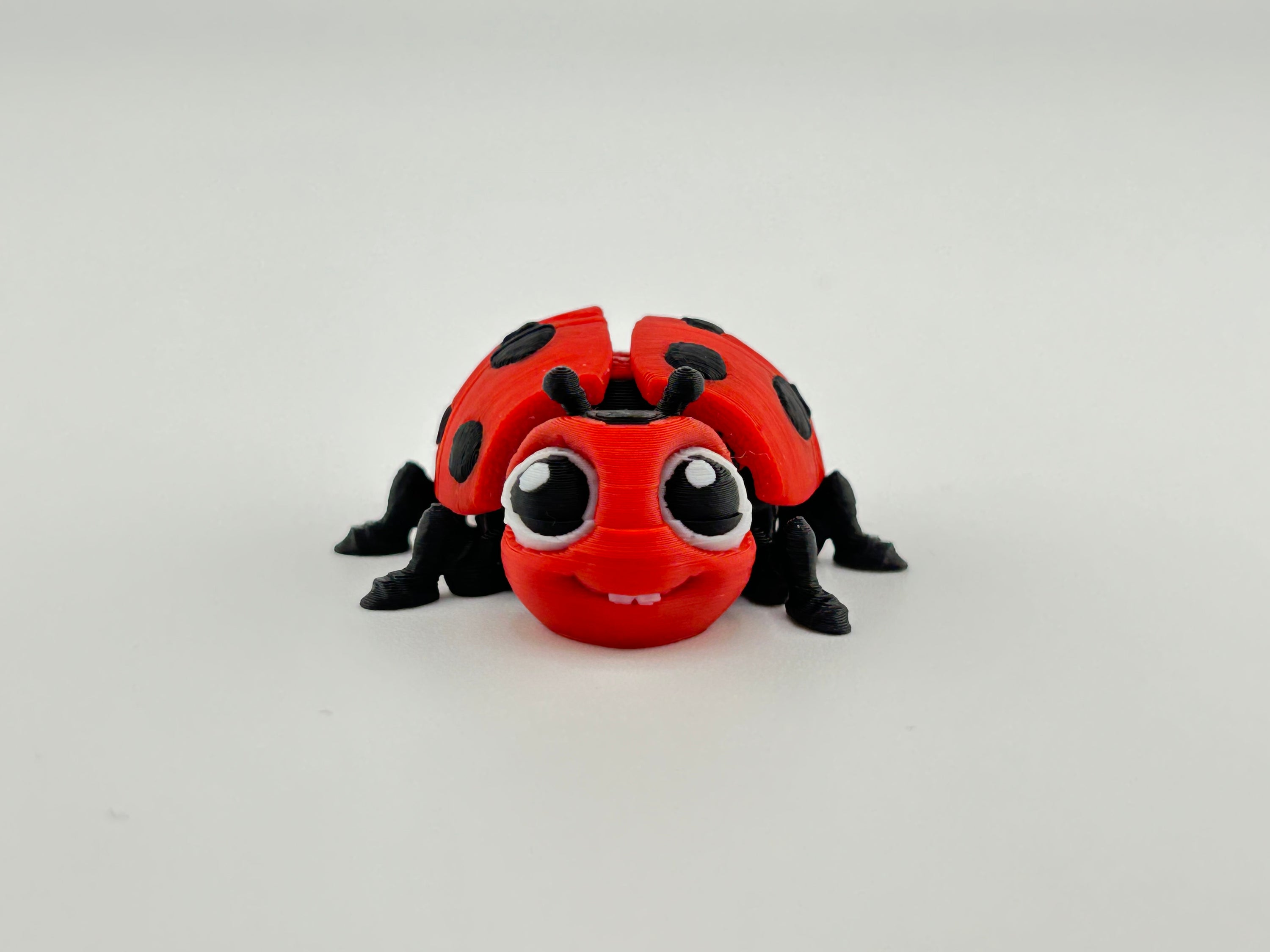 Ladybug Red Fidget Toy
