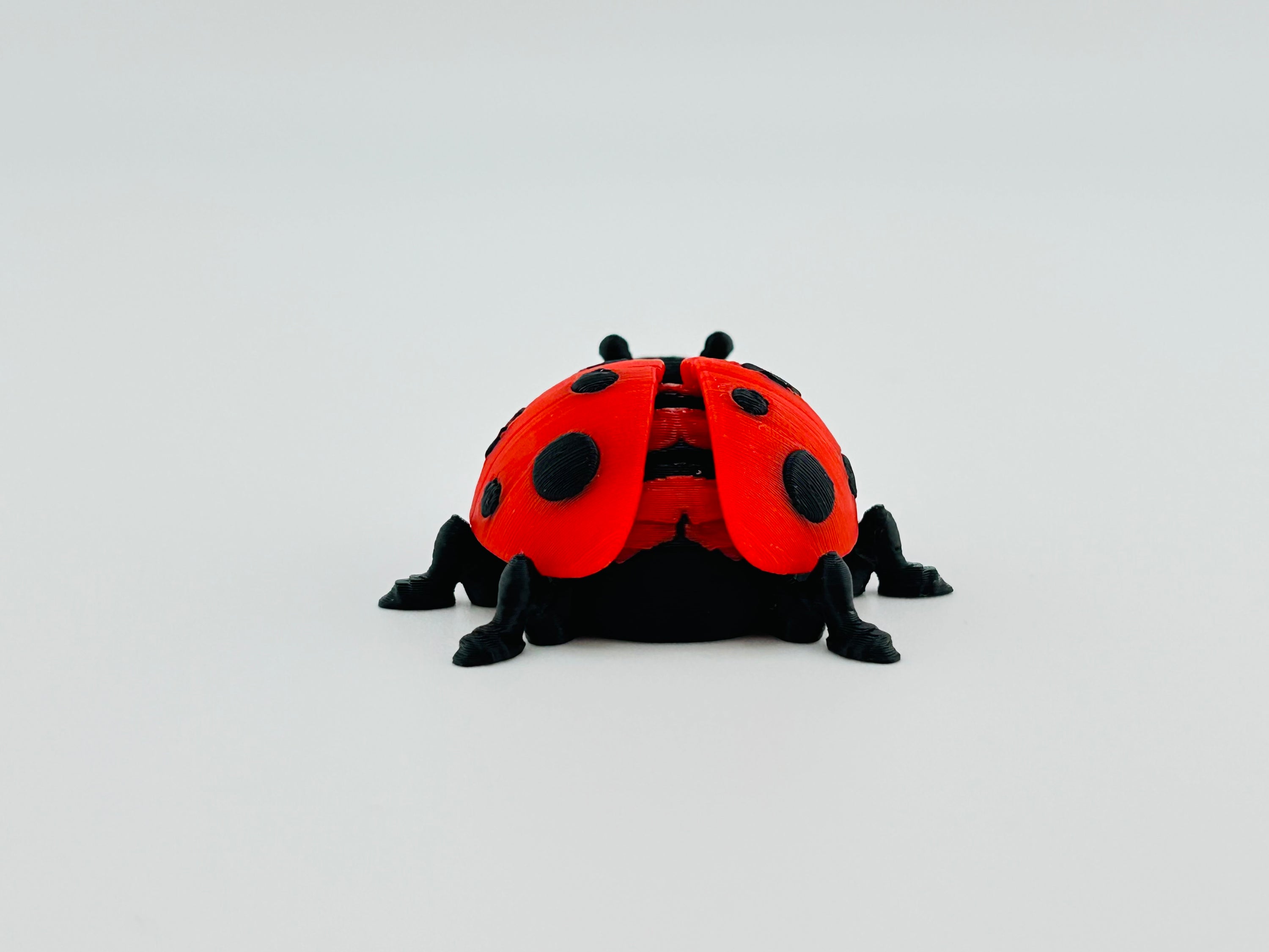 Ladybug Red Fidget Toy