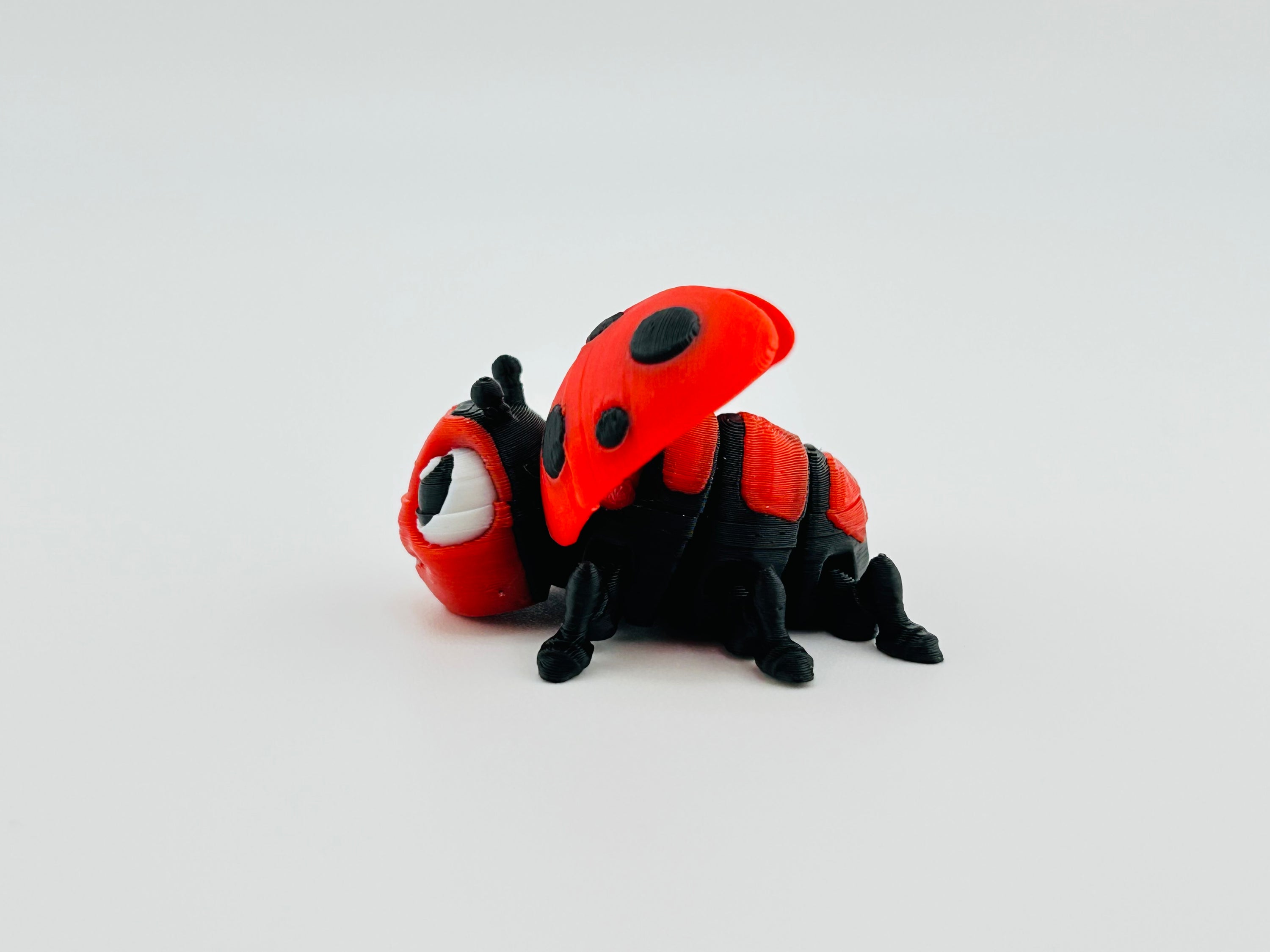 Ladybug Red Fidget Toy