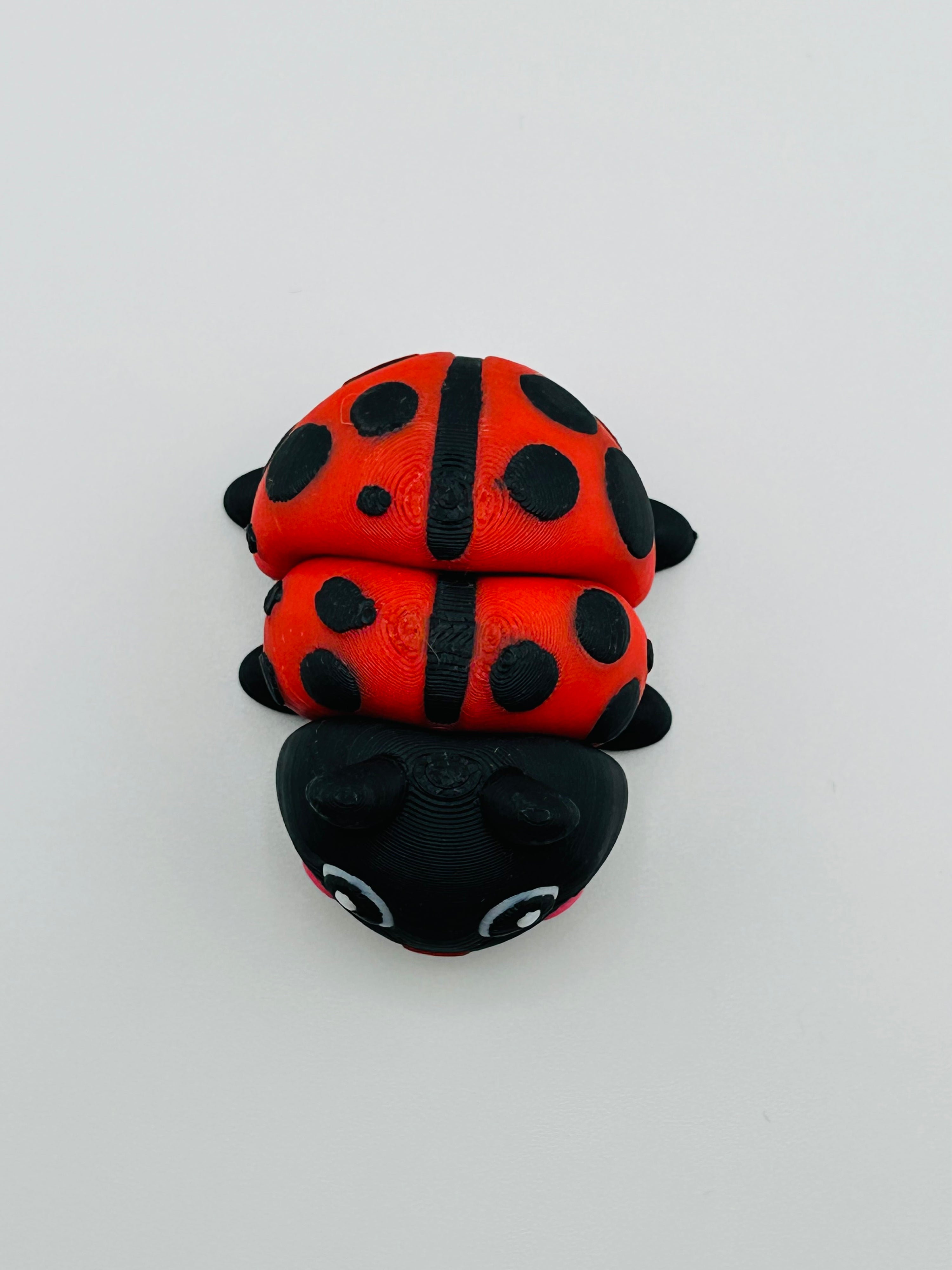 Mini Ladybirds Fidget Toy