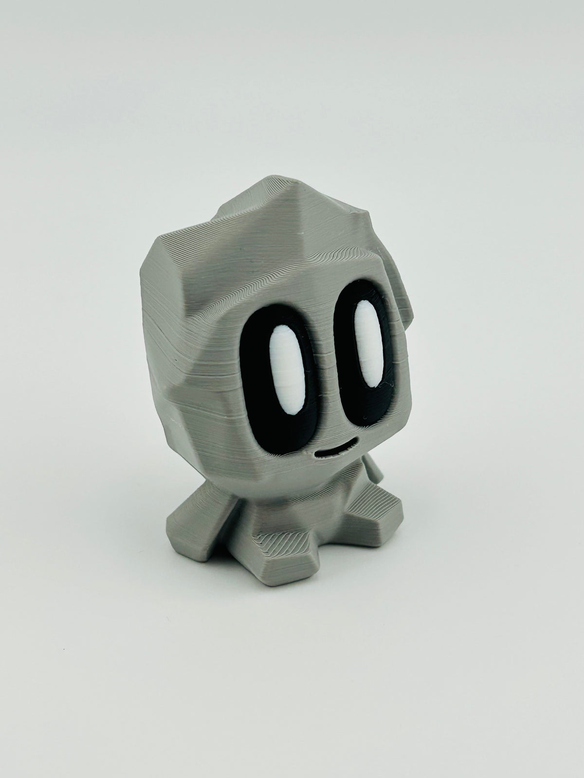 Pet Rock Fidget Toy